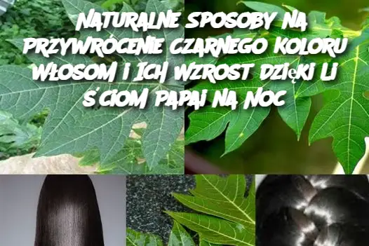 Naturalne Sposoby na Przywrócenie Czarnego Koloru Włosom i Ich Wzrost Dzięki Liściom Papai na Noc