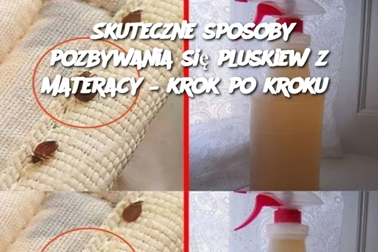 Skuteczne sposoby pozbywania się pluskiew z materacy – krok po kroku