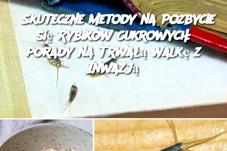 Skuteczne Metody na Pozbycie się Rybików Cukrowych: Porady na Trwałą Walkę z Inwazją