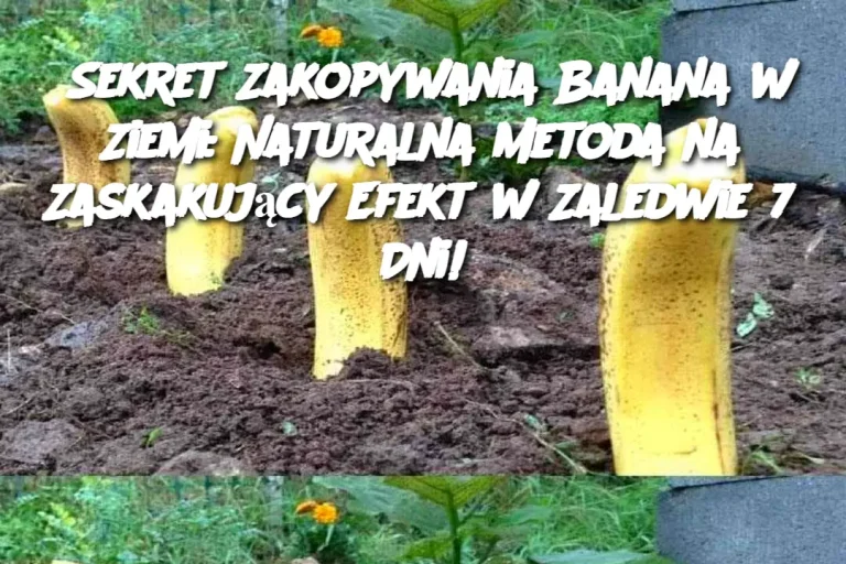 Sekret Zakopywania Banana w Ziemi: Naturalna Metoda na Zaskakujący Efekt w Zaledwie 7 Dni!