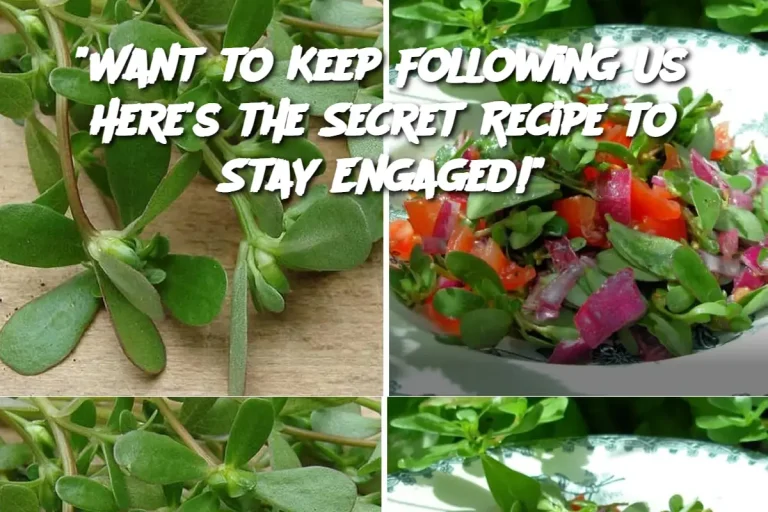 "Want to Keep Following Us? Here's the Secret Recipe to Stay Engaged!"