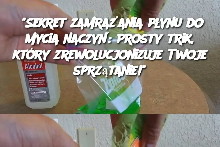 "Sekret zamrażania płynu do mycia naczyń: Prosty trik, który zrewolucjonizuje Twoje sprzątanie!"