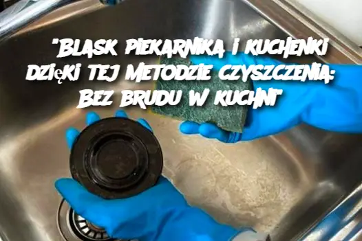 "Blask piekarnika i kuchenki dzięki tej metodzie czyszczenia: Bez brudu w kuchni"