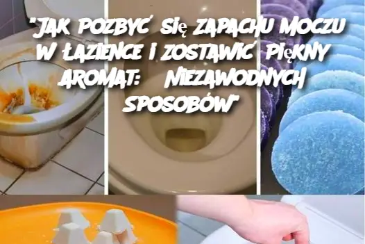 "Jak Pozbyć się Zapachu Moczu w Łazience i Zostawić Piękny Aromat: 6 Niezawodnych Sposobów"