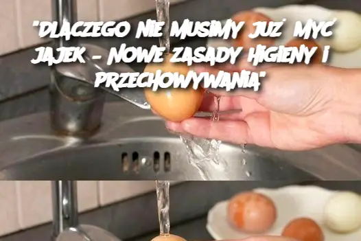 "Dlaczego nie musimy już myć jajek – Nowe zasady higieny i przechowywania"