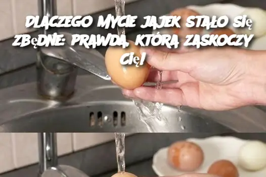 Dlaczego mycie jajek stało się zbędne: prawda, która zaskoczy Cię!