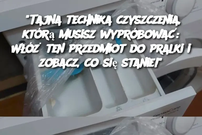 "Tajna technika czyszczenia, którą musisz wypróbować: Włóż ten przedmiot do pralki i zobacz, co się stanie!"