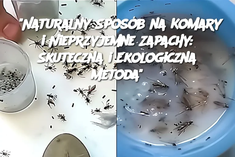 "Naturalny Sposób na Komary i Nieprzyjemne Zapachy: Skuteczna i Ekologiczna Metoda"