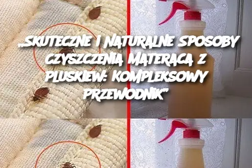 „Skuteczne i Naturalne Sposoby Czyszczenia Materaca z Pluskiew: Kompleksowy Przewodnik”