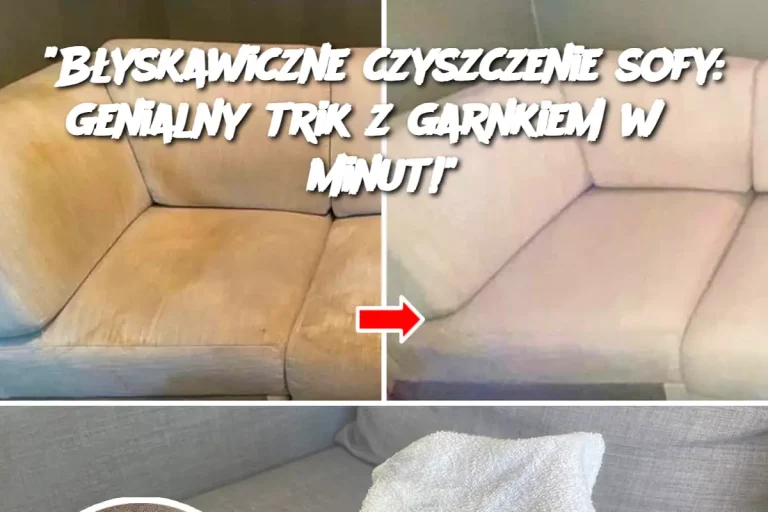 "Błyskawiczne czyszczenie sofy: genialny trik z garnkiem w 5 minut!"