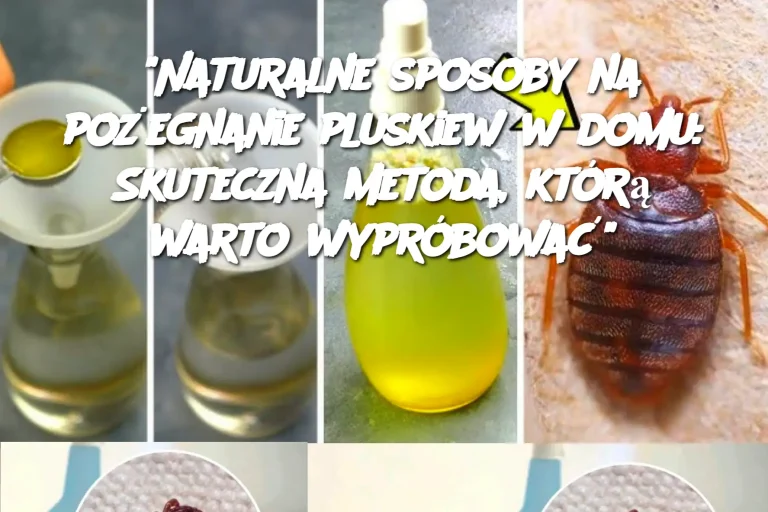 "Naturalne sposoby na pożegnanie pluskiew w domu: Skuteczna metoda, którą warto wypróbować"