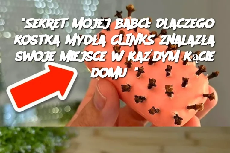 "Sekret mojej babci: Dlaczego kostka mydła CLINKS znalazła swoje miejsce w każdym kącie domu?"