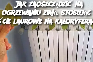 Jak zaoszczędzić na ogrzewaniu zimą, stosując liście laurowe na kaloryferach