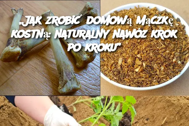 „Jak zrobić domową mączkę kostną: naturalny nawóz krok po kroku”