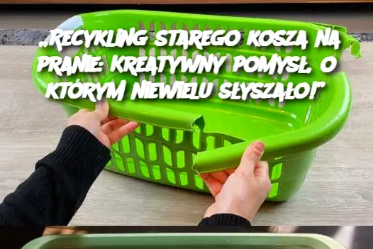 „Recykling starego kosza na pranie: Kreatywny pomysł, o którym niewielu słyszało!”