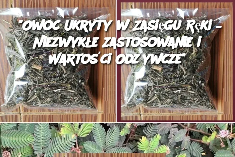 "Owoc Ukryty w Zasięgu Ręki – Niezwykłe Zastosowanie i Wartości Odżywcze"