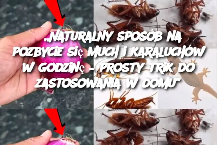 „Naturalny sposób na pozbycie się much i karaluchów w godzinę – prosty trik do zastosowania w domu”