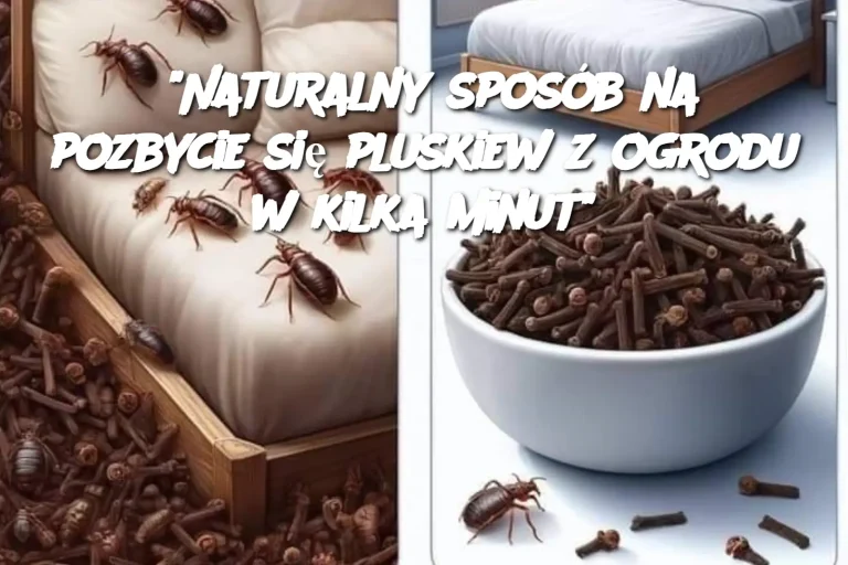 "Naturalny sposób na pozbycie się pluskiew z ogrodu w kilka minut"