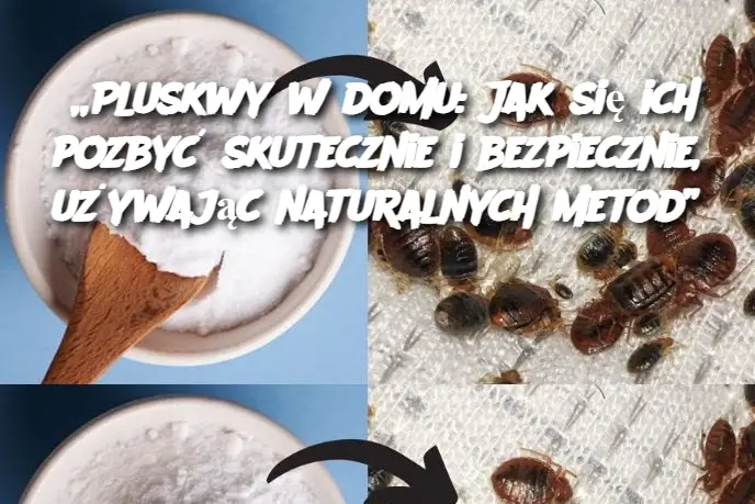 „Pluskwy w domu: Jak się ich pozbyć skutecznie i bezpiecznie, używając naturalnych metod”