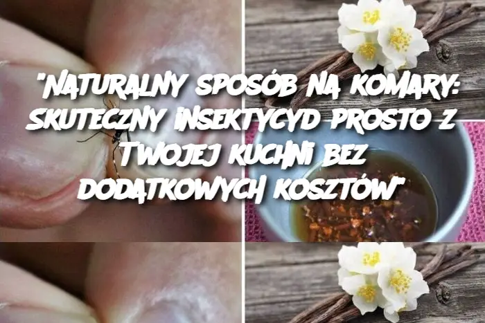 "Naturalny sposób na komary: Skuteczny insektycyd prosto z Twojej kuchni bez dodatkowych kosztów"