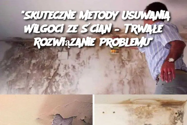 "Skuteczne Metody Usuwania Wilgoci ze Ścian – Trwałe Rozwiązanie Problemu"