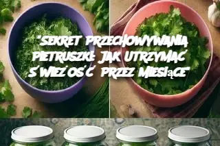 "Sekret Przechowywania Pietruszki: Jak Utrzymać Świeżość Przez Miesiące"