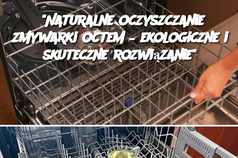 "Naturalne oczyszczanie zmywarki octem – ekologiczne i skuteczne rozwiązanie"