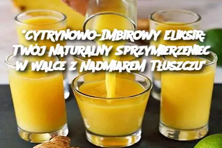 "Cytrynowo-Imbirowy Eliksir: Twój Naturalny Sprzymierzeniec w Walce z Nadmiarem Tłuszczu"