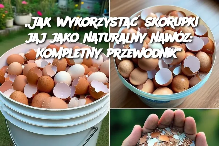 „Jak wykorzystać skorupki jaj jako naturalny nawóz: Kompletny przewodnik”