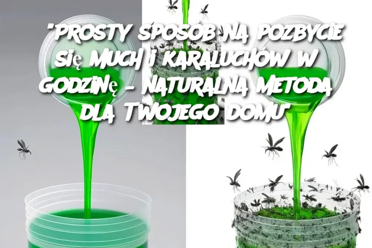 "Prosty sposób na pozbycie się much i karaluchów w godzinę – naturalna metoda dla Twojego domu"