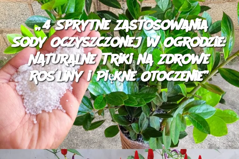 „4 Sprytne Zastosowania Sody Oczyszczonej w Ogrodzie: Naturalne Triki na Zdrowe Rośliny i Piękne Otoczenie”