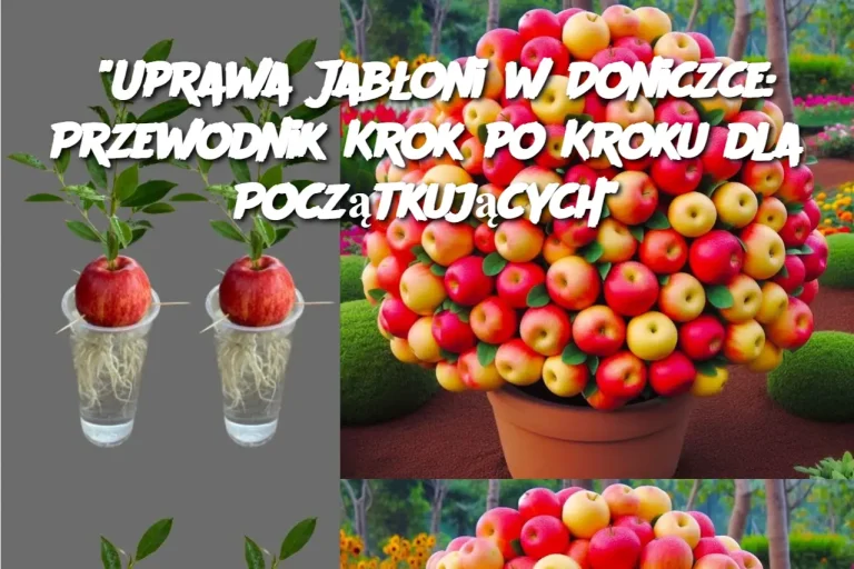 "Uprawa Jabłoni w Doniczce: Przewodnik Krok po Kroku dla Początkujących"