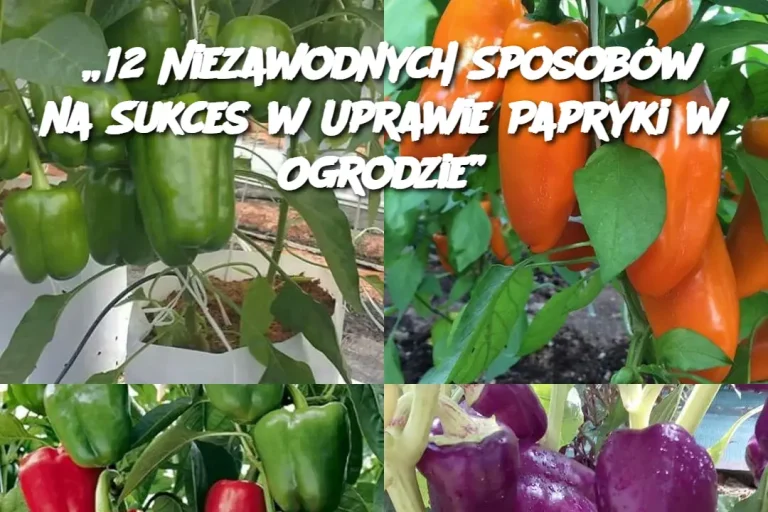 „12 Niezawodnych Sposobów na Sukces w Uprawie Papryki w Ogrodzie”