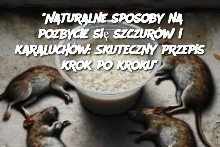 "Naturalne sposoby na pozbycie się szczurów i karaluchów: Skuteczny przepis krok po kroku"