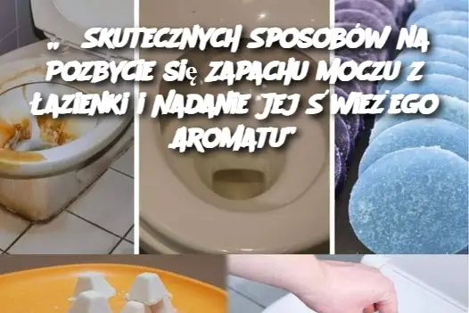 „6 Skutecznych Sposobów na Pozbycie się Zapachu Moczu z Łazienki i Nadanie Jej Świeżego Aromatu”