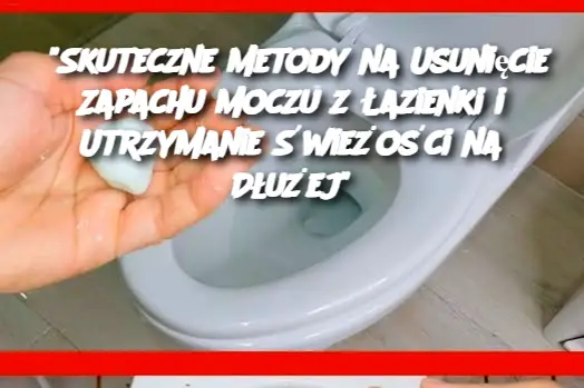 "Skuteczne Metody na Usunięcie Zapachu Moczu z Łazienki i Utrzymanie Świeżości na Dłużej"