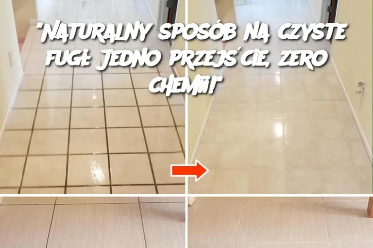 "Naturalny sposób na czyste fugi: Jedno przejście, zero chemii!"