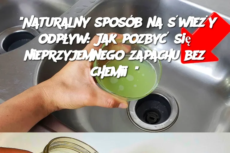 "Naturalny sposób na świeży odpływ: Jak pozbyć się nieprzyjemnego zapachu bez chemii?"