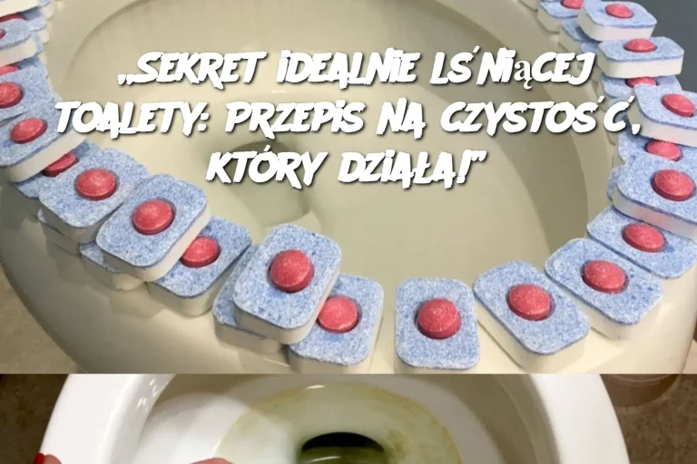 „Sekret idealnie lśniącej toalety: Przepis na czystość, który działa!”