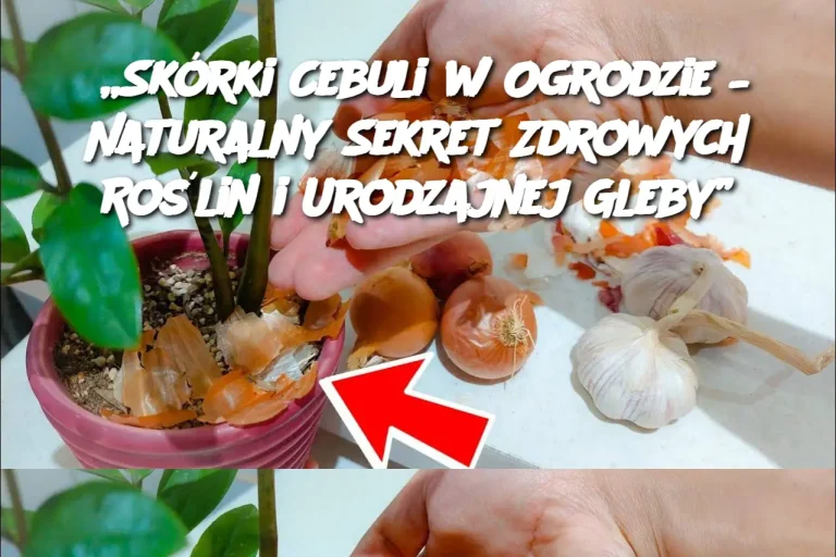 „Skórki Cebuli w Ogrodzie – Naturalny Sekret Zdrowych Roślin i Urodzajnej Gleby”