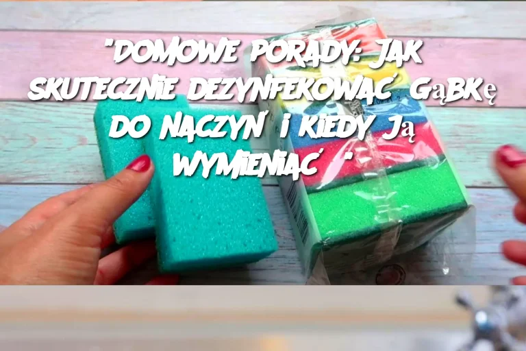 "Domowe porady: Jak skutecznie dezynfekować gąbkę do naczyń i kiedy ją wymieniać?"