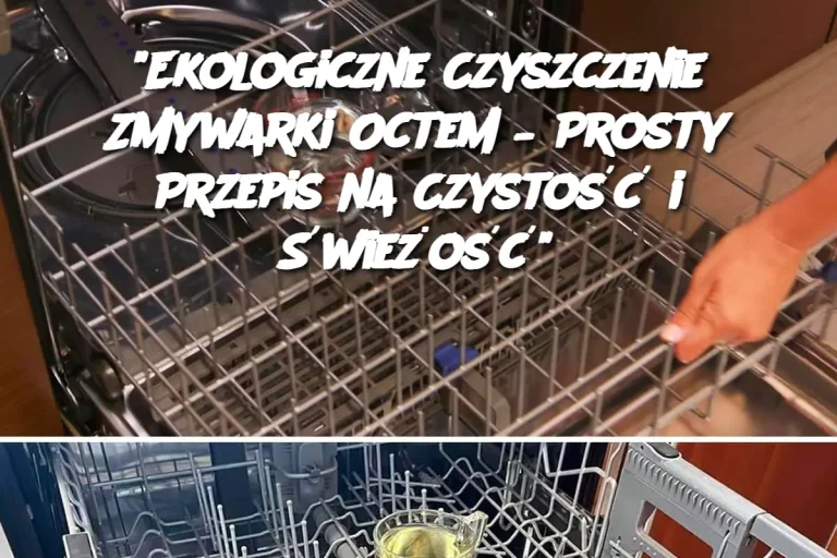 "Ekologiczne Czyszczenie Zmywarki Octem – Prosty Przepis na Czystość i Świeżość"