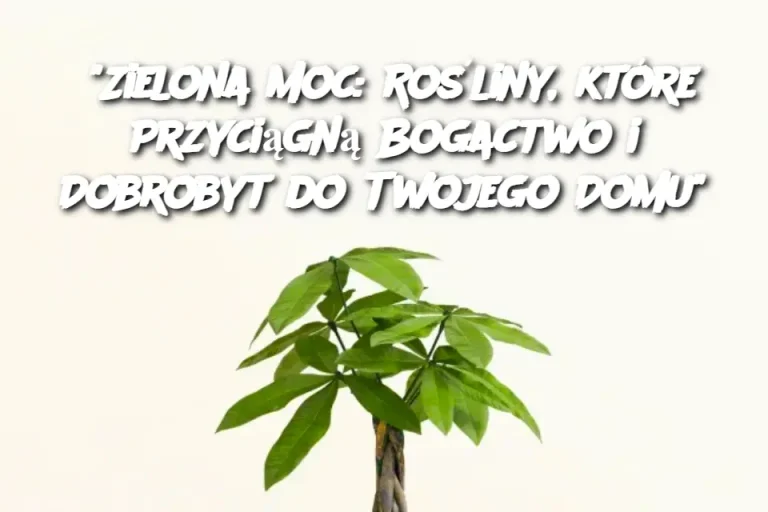 "Zielona Moc: Rośliny, które Przyciągną Bogactwo i Dobrobyt do Twojego Domu"