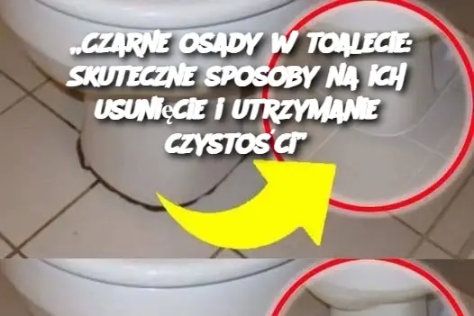 „Czarne osady w toalecie: Skuteczne sposoby na ich usunięcie i utrzymanie czystości”