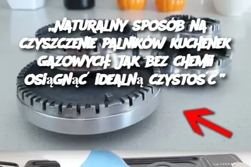 „Naturalny sposób na czyszczenie palników kuchenek gazowych: Jak bez chemii osiągnąć idealną czystość”