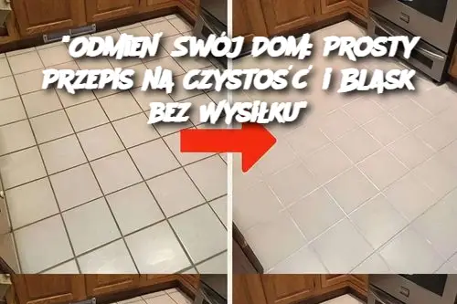 "Odmień Swój Dom: Prosty Przepis na Czystość i Blask bez Wysiłku"