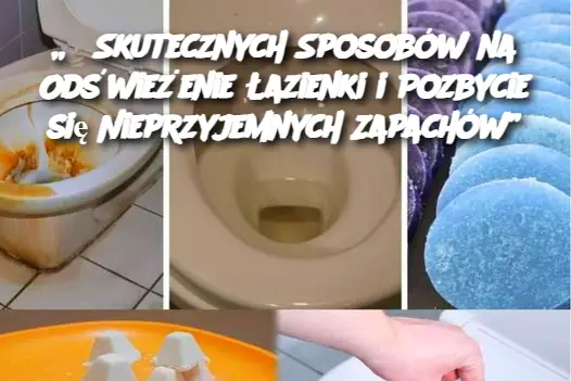 „6 Skutecznych Sposobów na Odświeżenie Łazienki i Pozbycie się Nieprzyjemnych Zapachów”