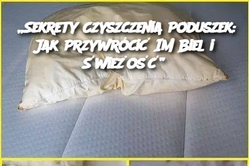 „Sekrety Czyszczenia Poduszek: Jak Przywrócić Im Biel i Świeżość”