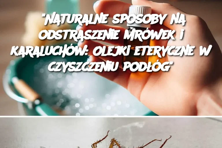 "Naturalne sposoby na odstraszenie mrówek i karaluchów: Olejki eteryczne w czyszczeniu podłóg"