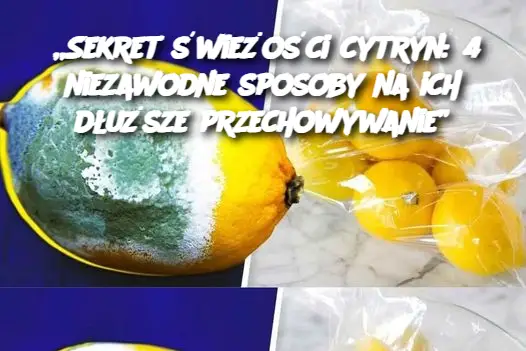 „Sekret świeżości cytryn: 4 niezawodne sposoby na ich dłuższe przechowywanie”